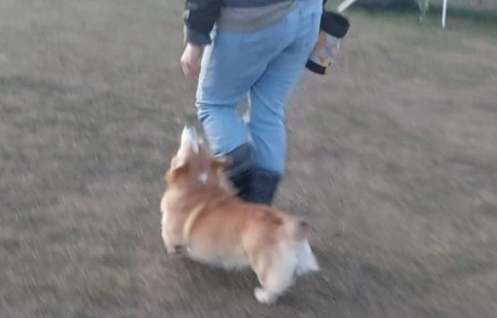 31.10.25 - Ortsgruppenprüfung